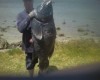 Blue Grouper off Mandurah